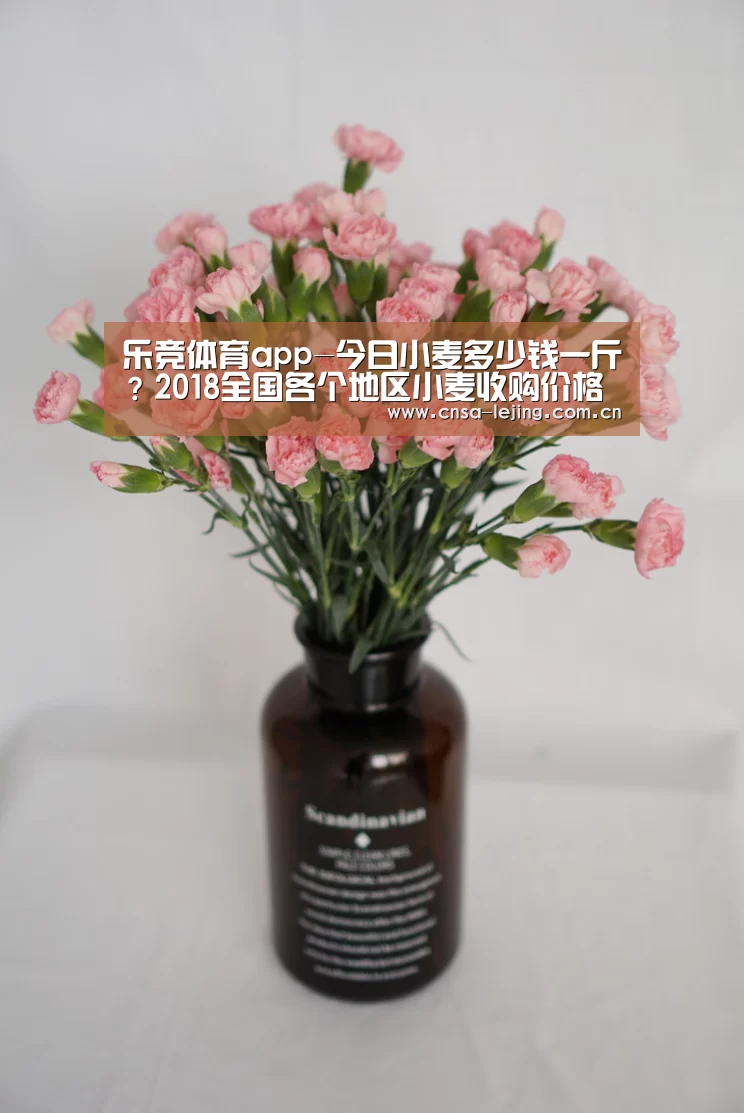 乐竞体育app
