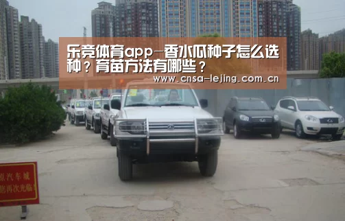 乐竞体育下载