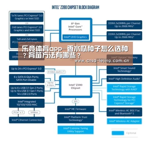 乐竞体育平台