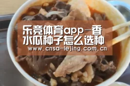 乐竞体育下载