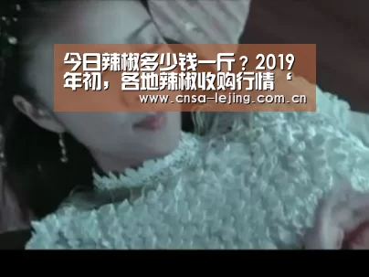 乐竞体育平台