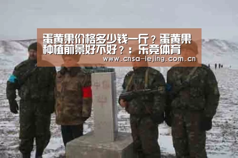 蛋黄果价格多少钱一斤?蛋黄果种植前景好不好?:乐竞体育(图1) 乐竞体育下载