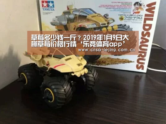 乐竞体育