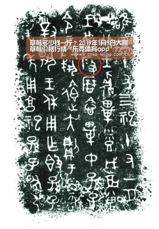 乐竞体育app