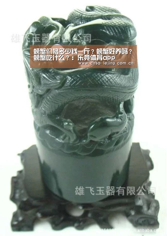 乐竞体育官网