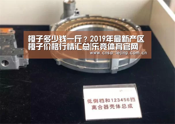橙子多少钱一斤?2019年最新产区橙子价格行情汇总|乐竞体育官网(图1) 乐竞体育