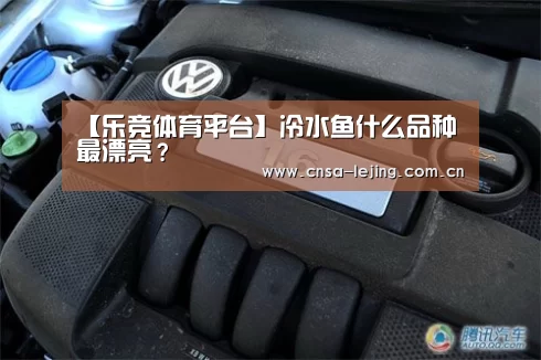 【乐竞体育平台】冷水鱼什么品种最漂亮?(图2) 乐竞体育下载