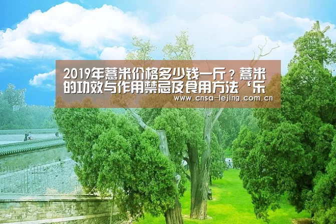 2019年薏米价格多少钱一斤?薏米的功效与作用禁忌及食用方法‘乐竞体育官网’(图3) 乐竞体育下载