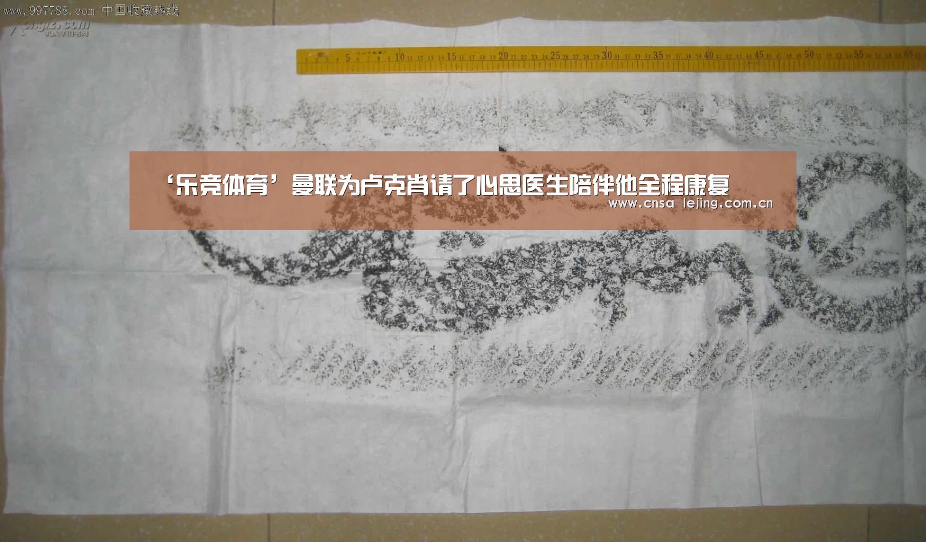 ‘乐竞体育’曼联为卢克肖请了心思医生陪伴他全程康复(图1) 乐竞体育app