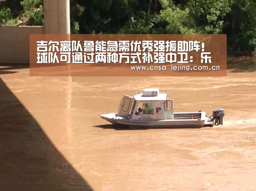 吉尔离队鲁能急需优秀强援助阵!球队可通过两种方式补强中卫:乐竞体育下载(图2) 乐竞体育app